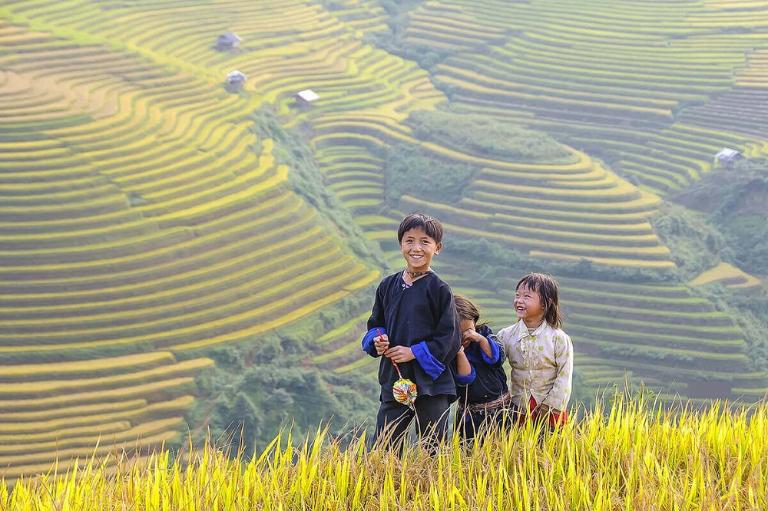 Rice Terraces in Vietnam