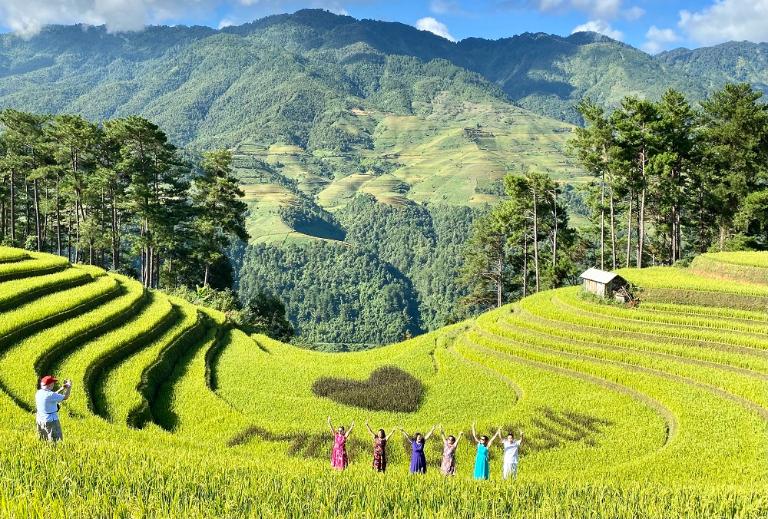 Rice Terraces in Vietnam