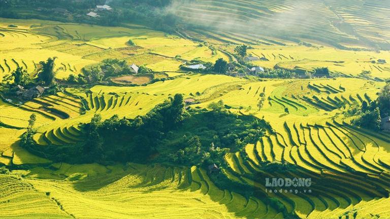 Rice Terraces in Vietnam