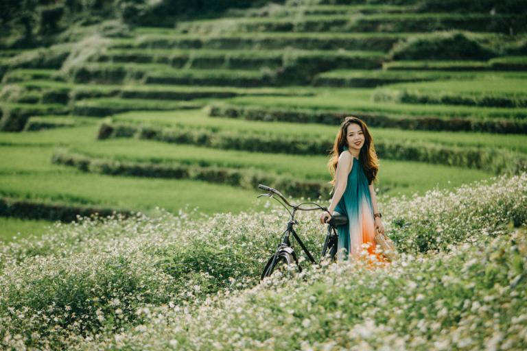 Rice Terraces in Vietnam