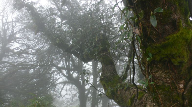 The Park's Ecological Riches