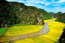 Tam Coc Ninh Binh