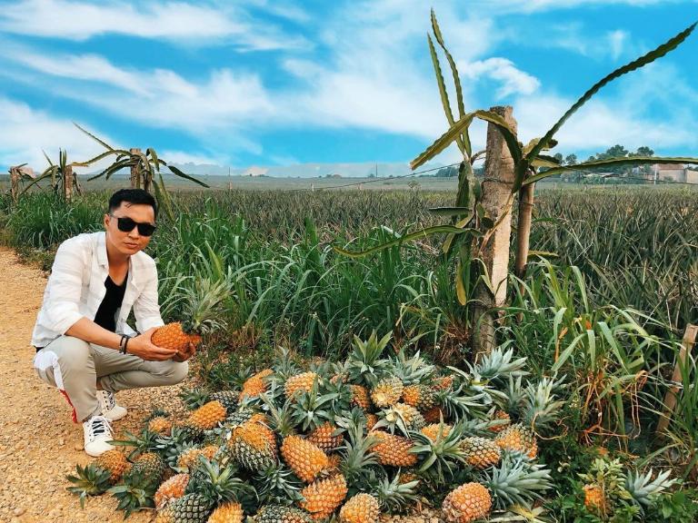 Tam Diep Pineapple Hill