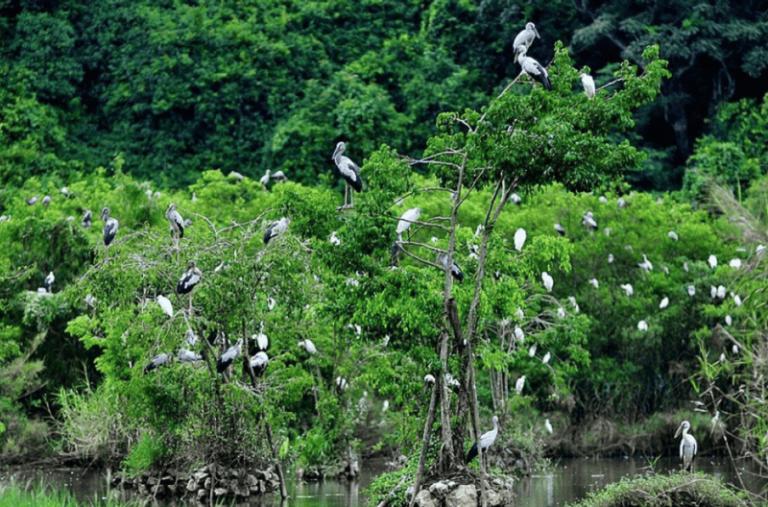 Thung Nham Bird Park