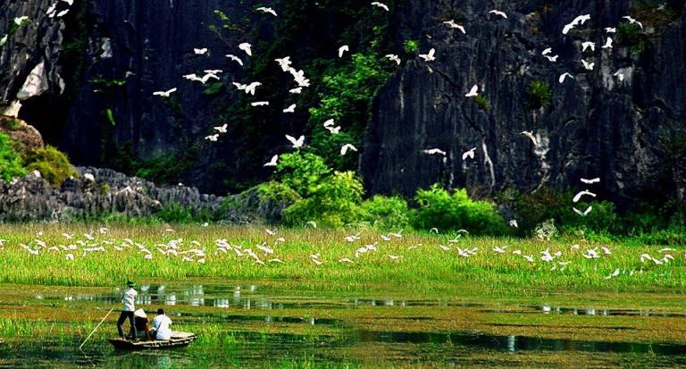 Thung Nham Bird Park