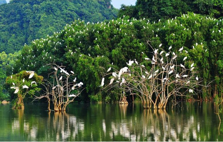 Thung Nham Bird Park