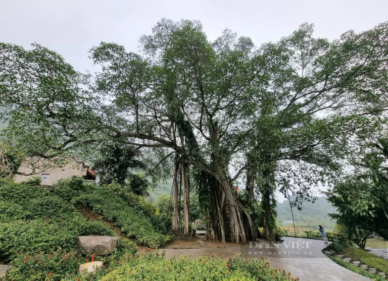 Thung Nham Bird Park