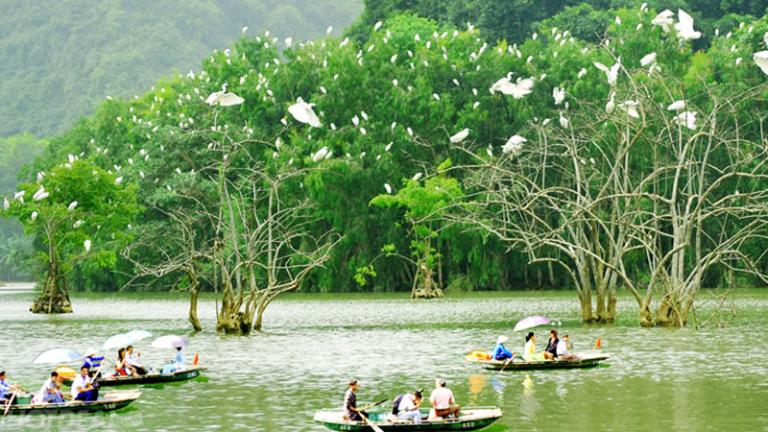 Thung Nham Bird Park