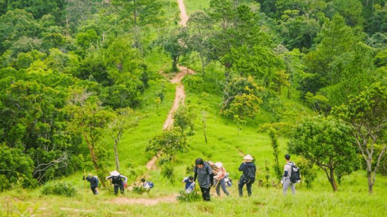 Trekking in Vietnam