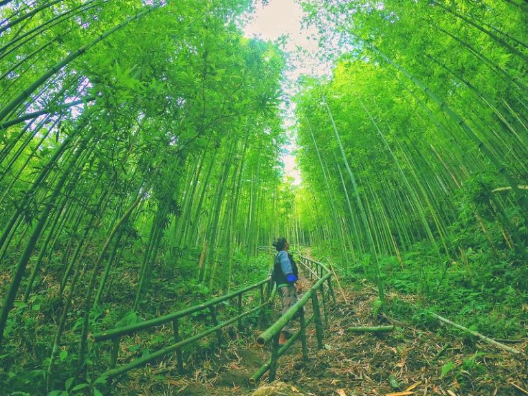 Trekking in Vietnam