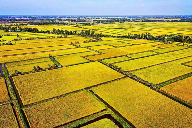 Vietnam's Landscapes