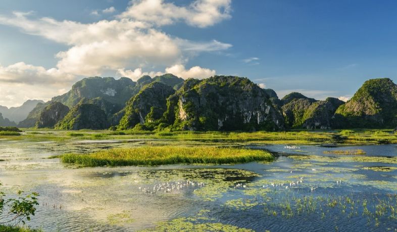 Wide view of Van Long Wetland in Ninh Bình, with calm waters, floating vegetation, and surrounding limestone karsts.