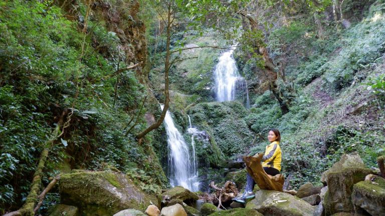 Lung Cung features six unique forest types, showcasing its untouched natural beauty.