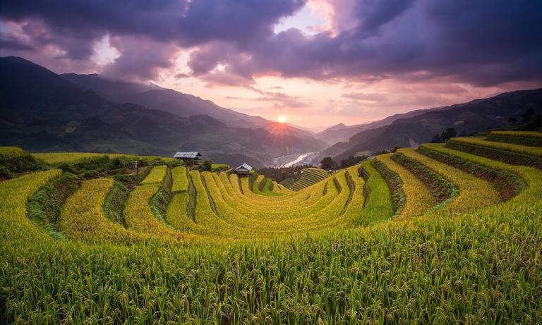 The Mu Cang Chai Motorbike Tour is popular for its exciting adventure and scenic routes.