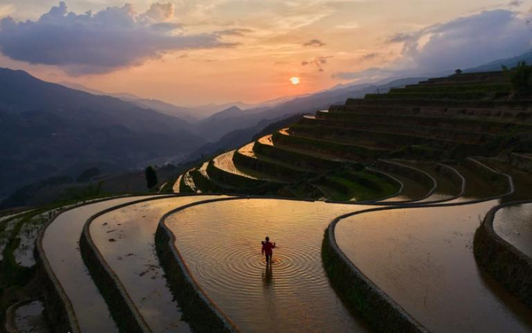 The rice planting season in Mu Cang Chai is a romantic sight, with lush green terraces.