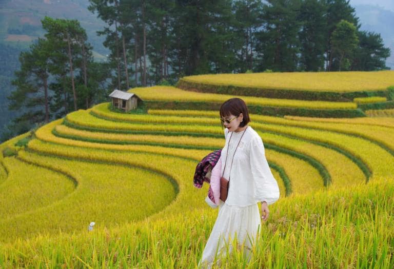 Mu Cang Chai's terraced rice fields span over 2,200 hectares and are a UNESCO National Heritage.