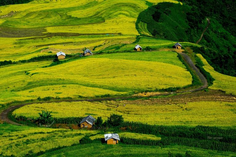 Y Ty Rice Terraces are a must-see for their beauty and cultural significance in Y Ty.