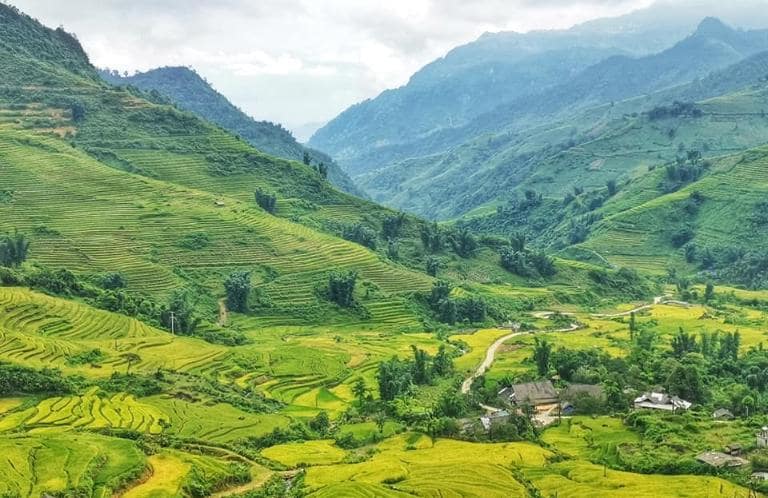 The Mu Cang Chai – Sapa Y Ty – Bac Ha Tour offers diverse experiences in 5 days - Mu Cang Chai - Sapa Y Ty - Bac Ha Tour 5 Days 4 Nights