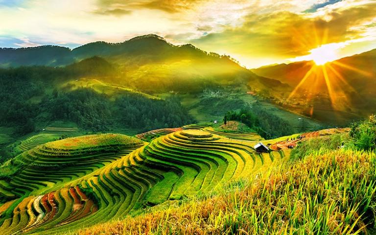 This 3-day 2-night Mu Cang Chai tour is a hot hit for travel enthusiasts.