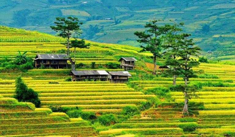 A 3-day, 2-night Mu Cang Chai plan for first-timers with local culture.