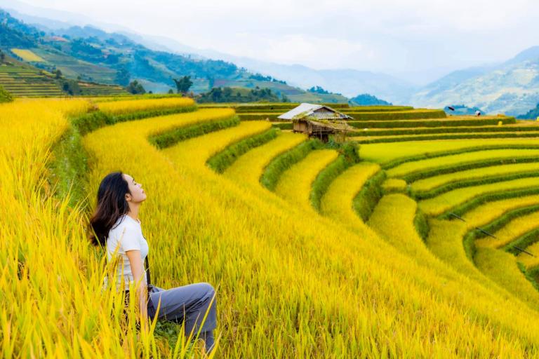 The best time to visit Mu Cang Chai is from September to October for golden fields.