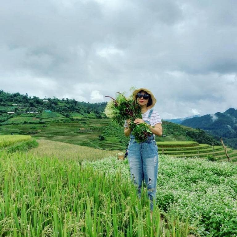 This valley forms a giant basin encompassing Nghia Lo Town and parts of Van Chan.