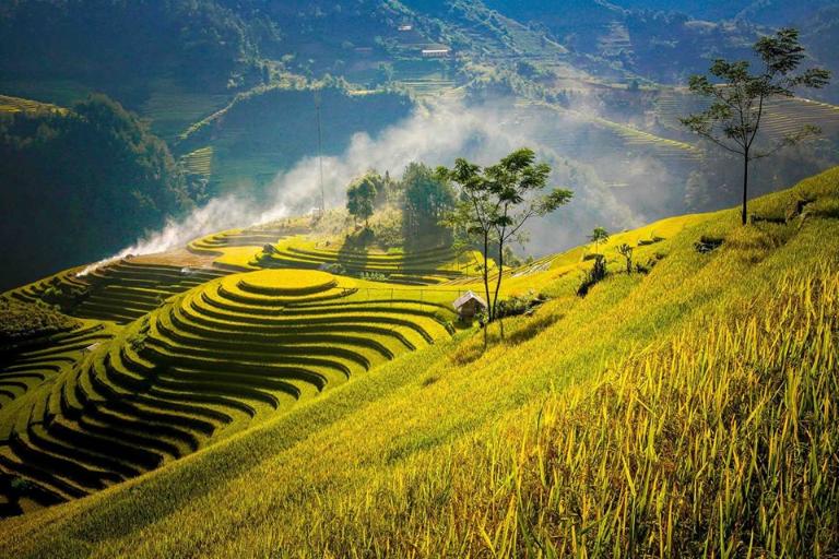 Muong Lo Valley boasts breathtaking views of terraced fields and lush greenery.