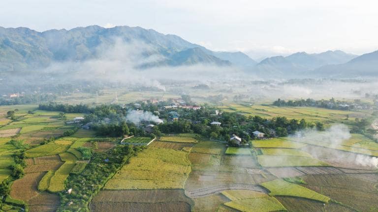 The best time to visit Muong Lo Valley is September to October for the golden fields.