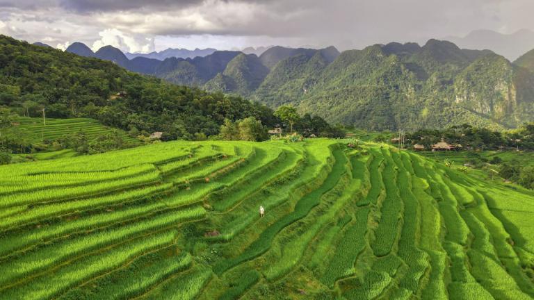 Pu Luong spans 17,000 hectares, rich in rare species and stunning terraced rice fields.