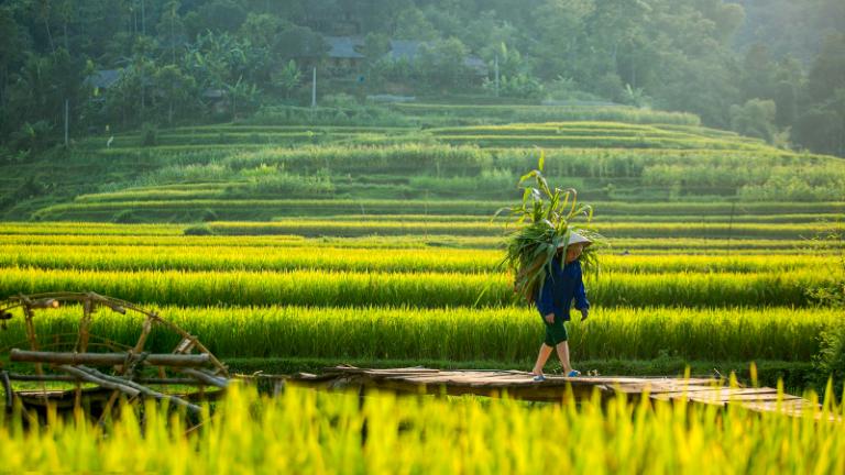 Ban Don in Pu Luong offers a serene beauty with traditional stilt houses.