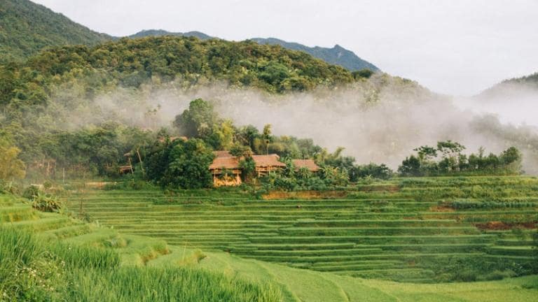 Ban Kho Muong is perfect for trekking, with rice fields and welcoming Thai culture.