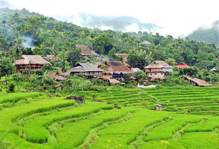 Don Village trek blends cultural exploration with stunning terraced field landscapes.