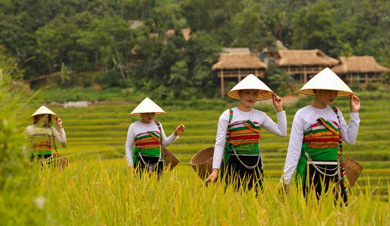 Experience the culture and lifestyle of ethnic minorities through Pu Luong trekking.