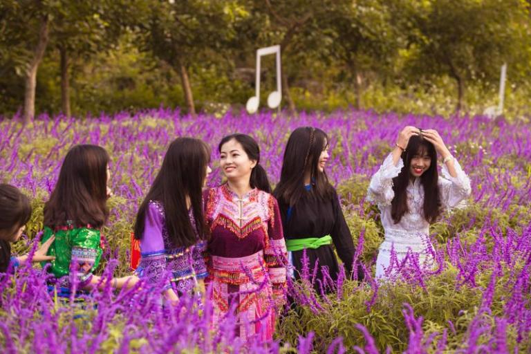 Bac Ha Flower Valley