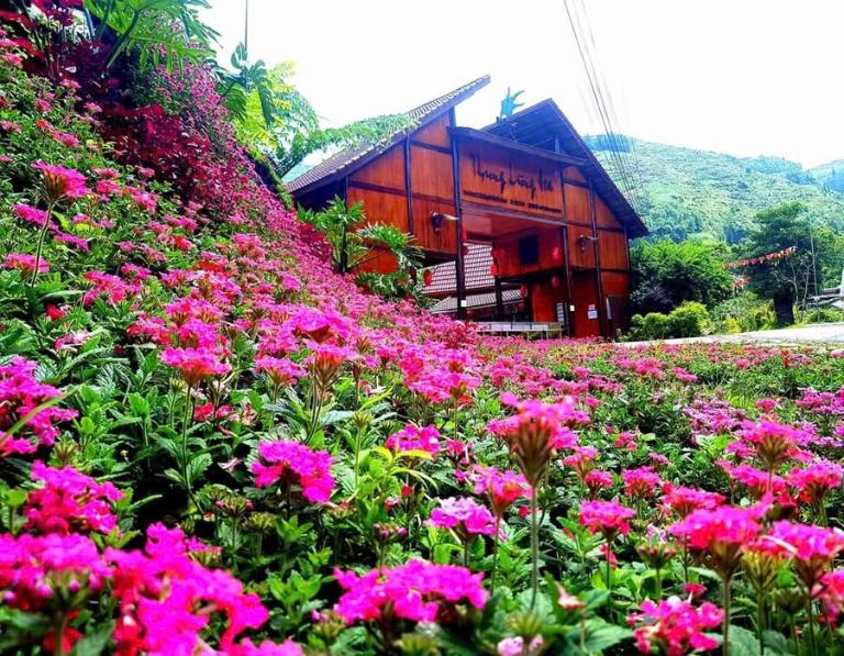 Bac Ha Flower Valley