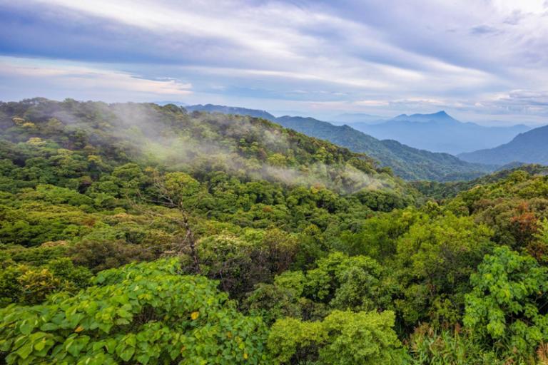 Bach Ma National Park