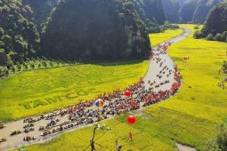 Best Time to Visit Ninh Binh