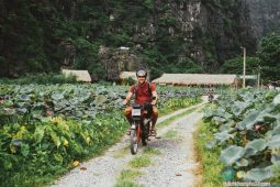 Experiences on a Ninh Binh Motorbike Tour