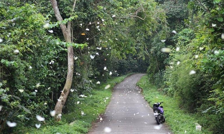 Experiences on a Ninh Binh Motorbike Tour