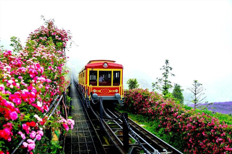 Fansipan Mountain Sapa