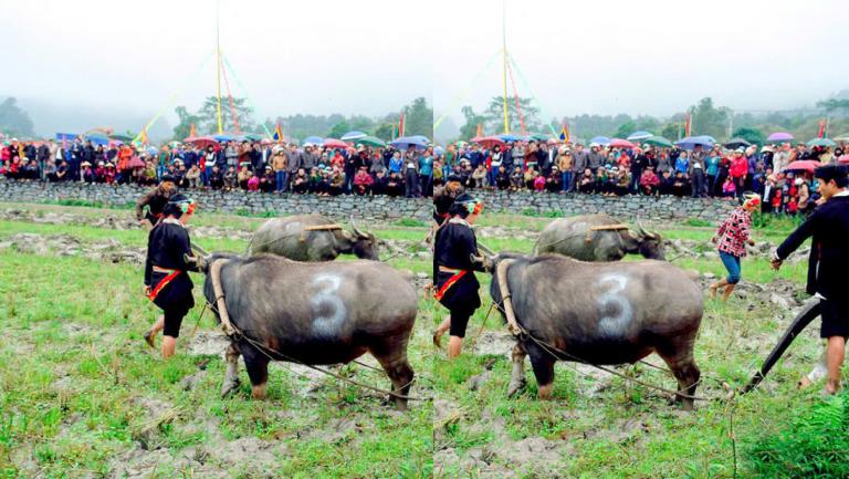 Festivals in Sapa