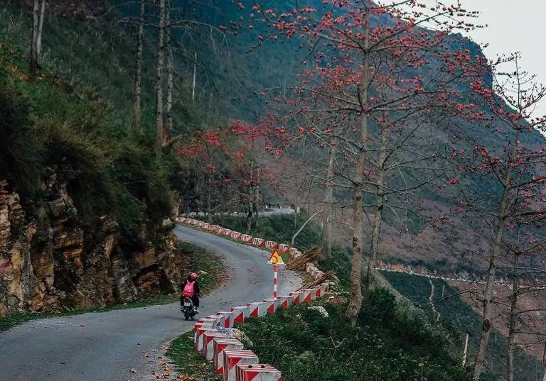 Ha Giang Loop’s Best Passes and Roads