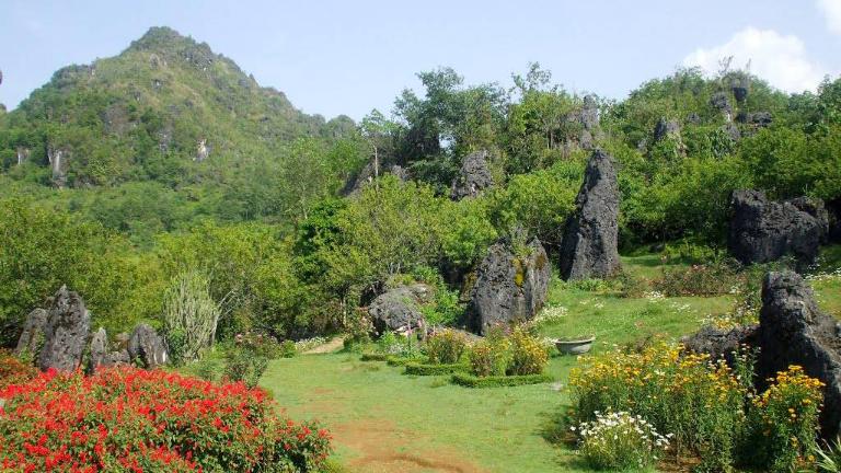 Ham Rong Mountain Sapa