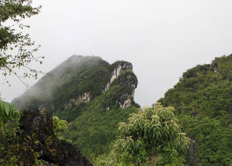 Ham Rong Mountain Sapa