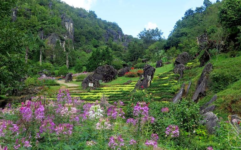 Ham Rong Mountain Sapa