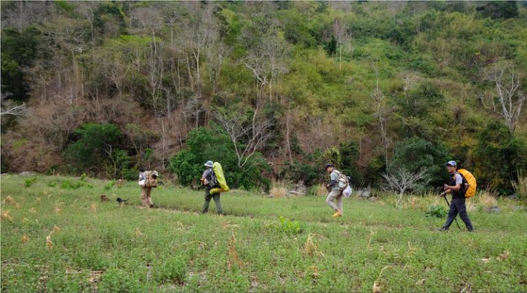 Hoang Lien National Park