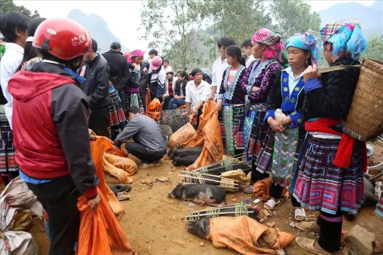 Hoang Lien National Park