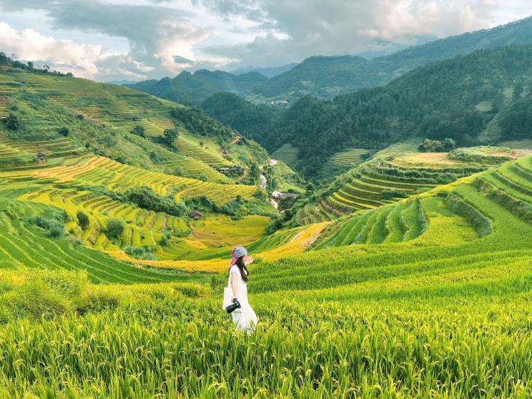 Mu Cang Chai Terraced Fields