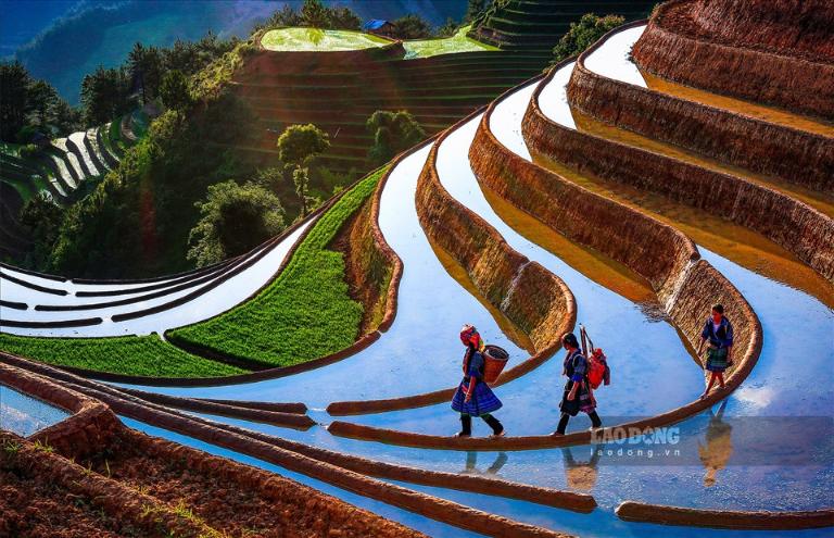 Mu Cang Chai Terraced Fields