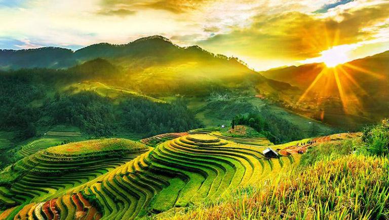 Mu Cang Chai Terraced Fields